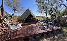 Eco-Camping De Helleborus, Yurt, Bell & Safari Tent, Pipo, Caravans, Dorms And Units